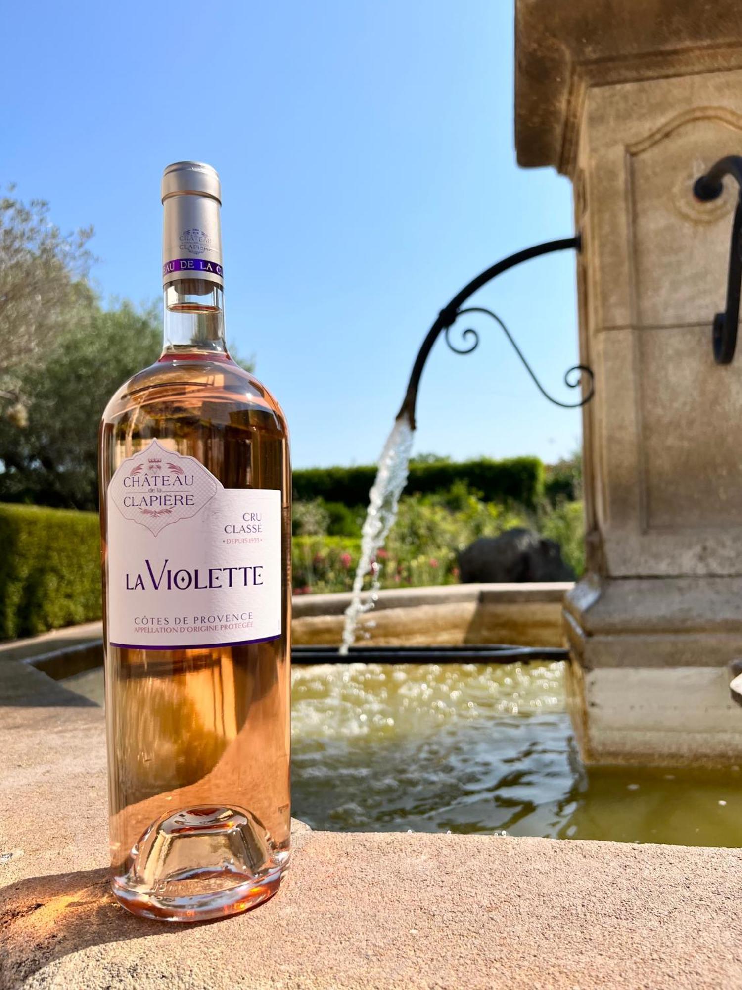 Chateau De La Clapiere Hyères Zewnętrze zdjęcie