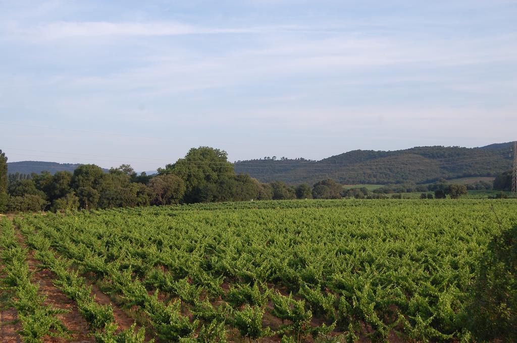 Chateau De La Clapiere Hyères Zewnętrze zdjęcie