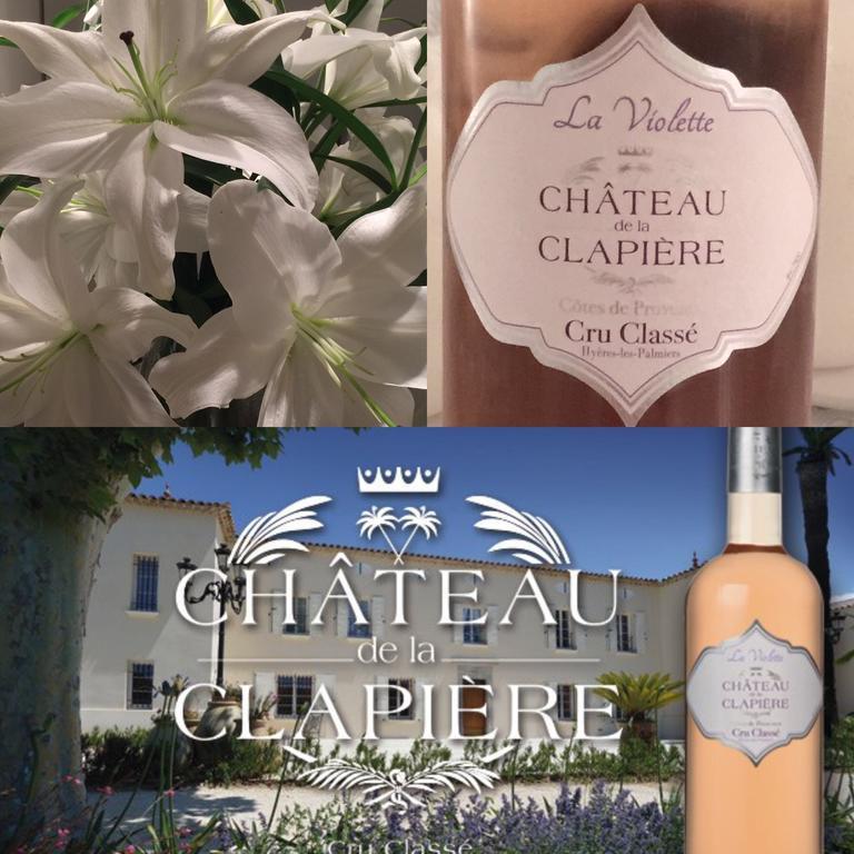 Chateau De La Clapiere Hyères Zewnętrze zdjęcie